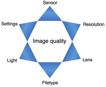 Factors quality