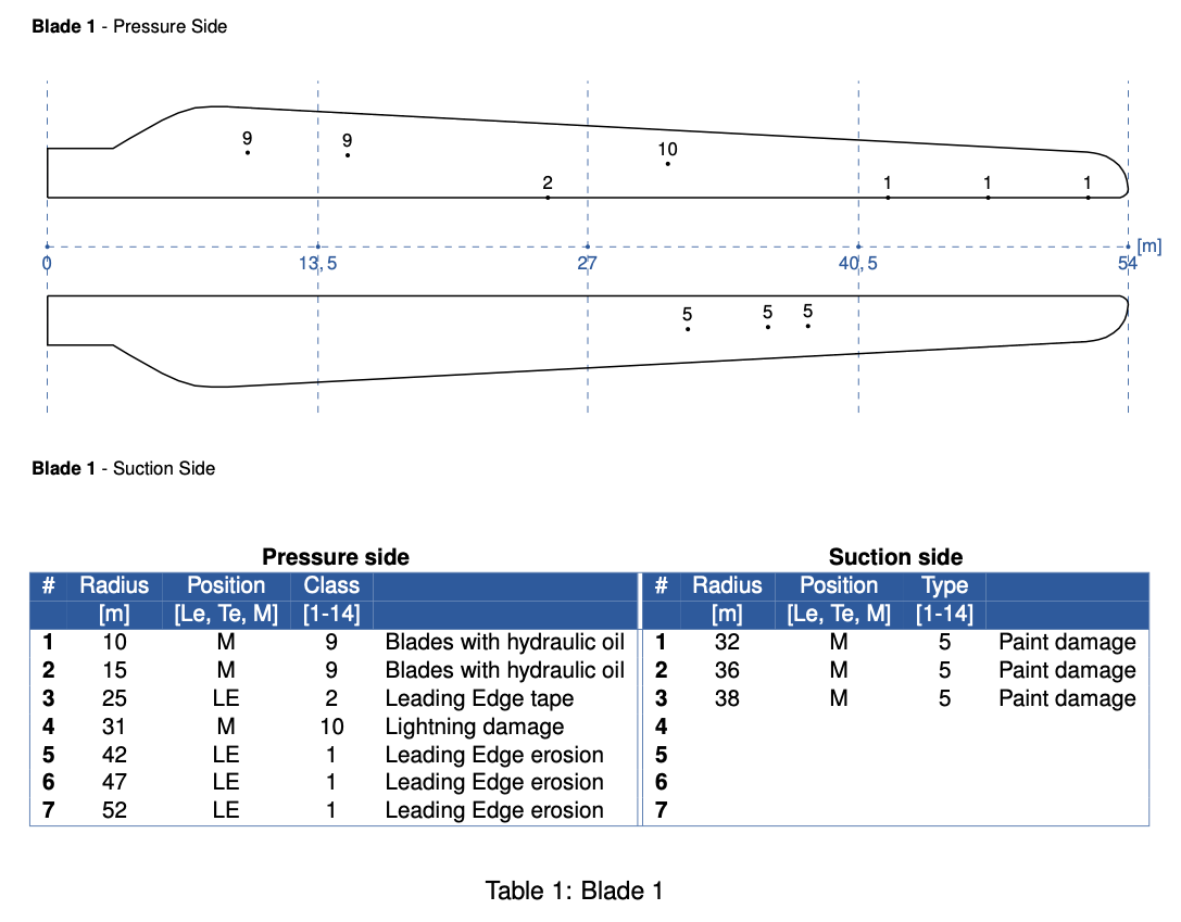 example report